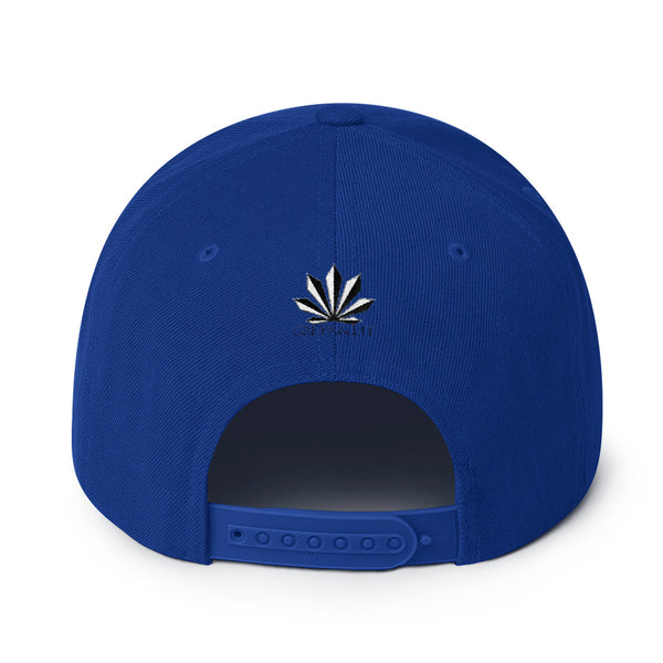 Green & Lit Snapback Hat